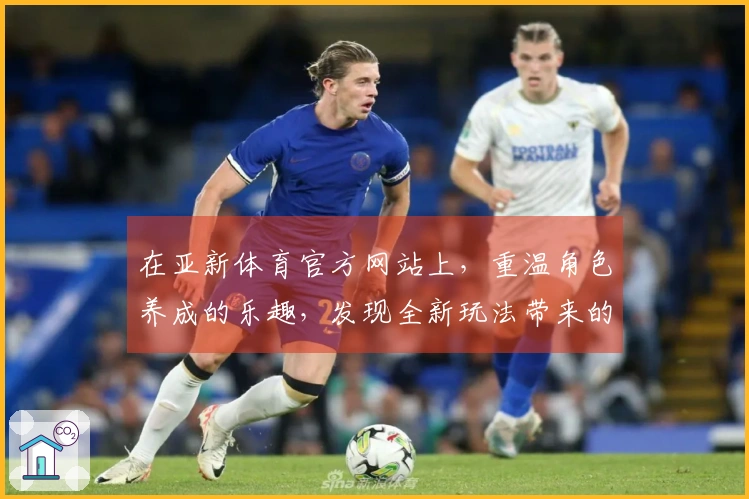 在亚新体育官方网站上，重温角色养成的乐趣，发现全新玩法带来的独特体验